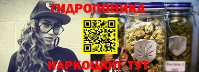 стафф Свободный